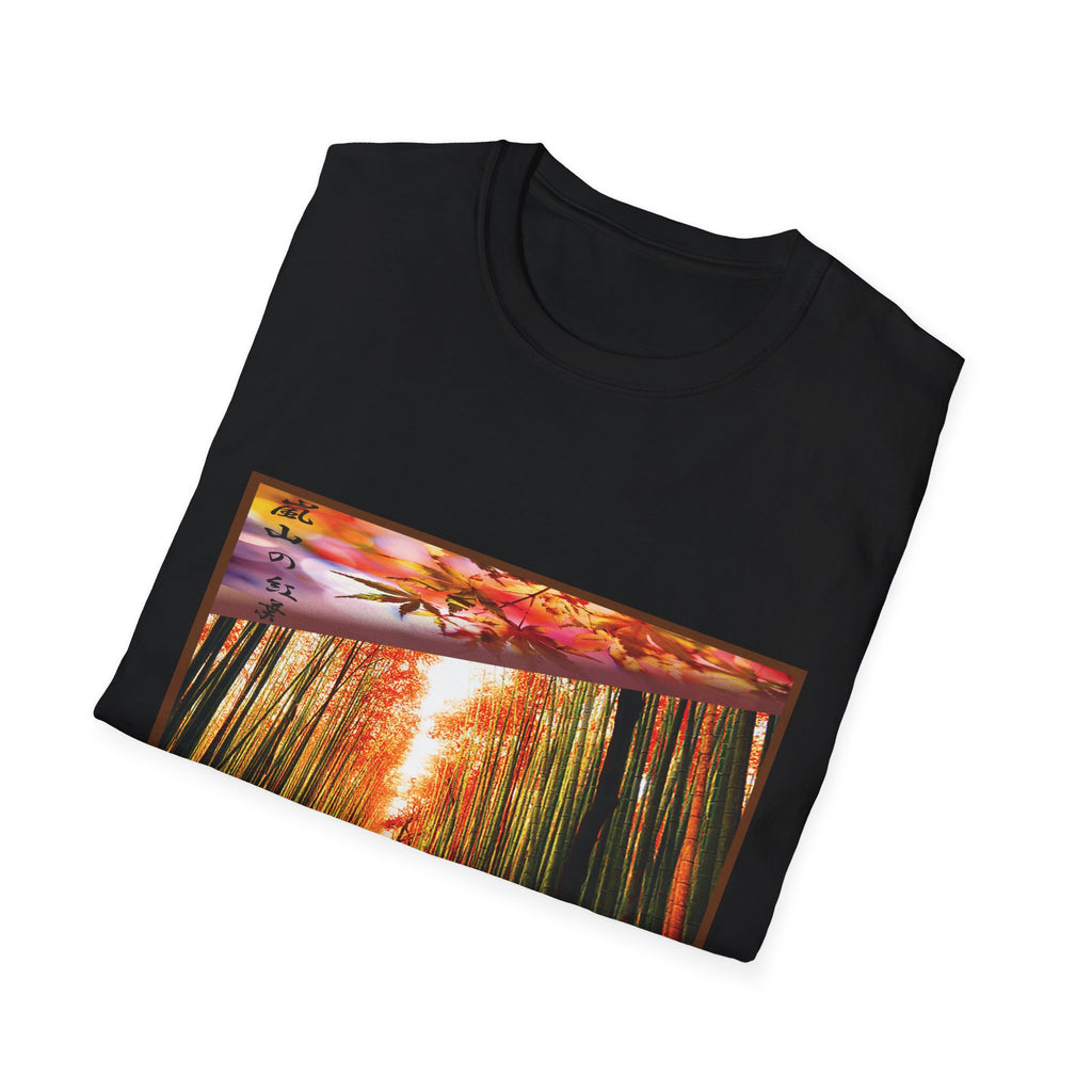 Black t-shirt with a colorful nature-themed graphic on a white background
